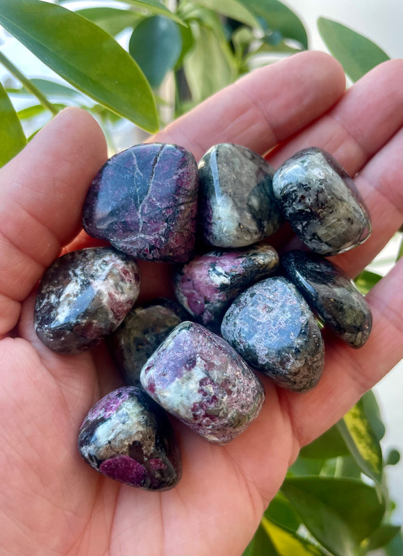 Eudialyte Tumble Stone