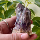 Local Amethyst Cluster - 2025