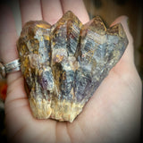 Local Amethyst Cluster - 2025