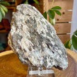 Plumose Lithium Muscovite - Ear Falls