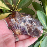 Local Amethyst Cluster - 2025