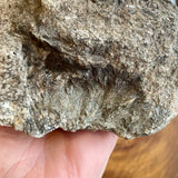 Plumose Lithium Muscovite - Ear Falls