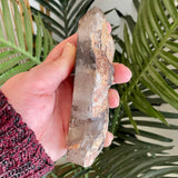 Lemurian Smoky Quartz Point