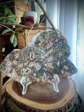 Lake Superior Agate Slab - Current River Agate