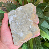 Natural Pyrite Speckled Quartz in Matrix Slab- Bancroft Ontario