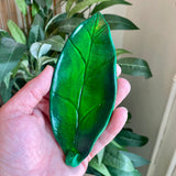 Leaf- Incense Burner - Clay By Wojo