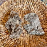 Fossils from Hudson Bay Lowlands