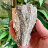 Plumose Lithium Muscovite - Ear Falls