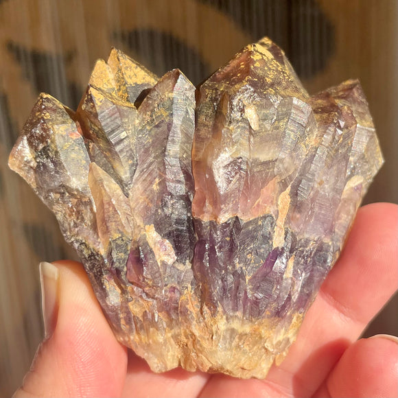 Local Amethyst Cluster - 2025