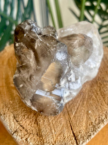 Alligator Elestial Quartz