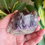 Local Amethyst Cluster - 2025