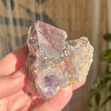 Local Amethyst Cluster - 2025