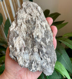 Plumose Lithium Muscovite - Ear Falls