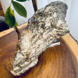 Plumose Lithium Muscovite - Ear Falls