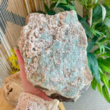 Local Green Fluorite - Shuniah Mine, Centennial Park