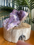 Local Amethyst Raw Specimen