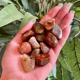 Lake Superior Agate Tumble