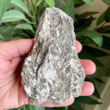 Plumose Lithium Muscovite - Ear Falls