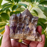 Local Amethyst Cluster - 2025