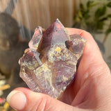 Local Amethyst Cluster - 2025