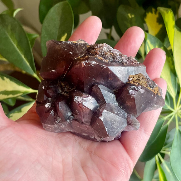 Local Amethyst Cluster - 2025