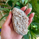 Dogs Tooth Calcite - Local - Shuniah Mines