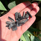Black Tourmaline - Raw