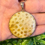 White Coral Pendant