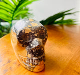 Maligano Jasper Skull