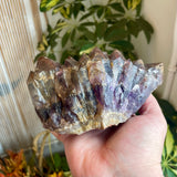 Local Amethyst Cluster - 2025