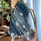 Chapleau Ontario Granite Slab