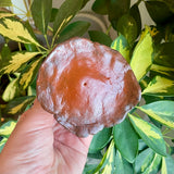 Red Brown Mushroom Incense Burner