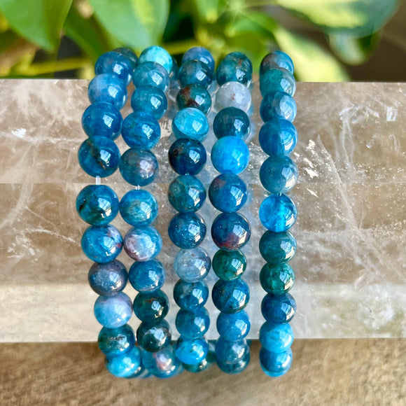 Blue Apatite Bracelet 6mm