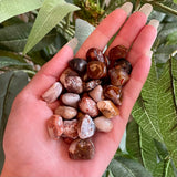 Lake Superior Agate Tumble