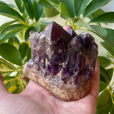 Local Amethyst Cluster - 2025