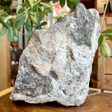 Plumose Lithium Muscovite - Ear Falls