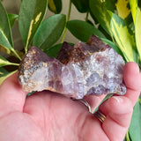Local Amethyst Cluster - 2025