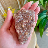 Local Yellow Fluorite - Algoma Formation