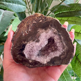 Petrified Wood with Amethyst