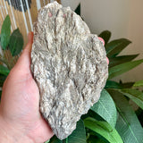Plumose Lithium Muscovite - Ear Falls