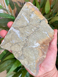 Natural Pyrite Speckled Quartz in Matrix Slab - Bancroft Ontario
