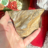 Petrified Wood Front Polished - Indonesia