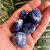 Sodalite Tumble Stone