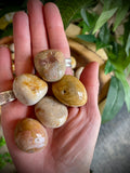 Coral Jade Tumble Stones