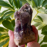 Local Amethyst Cluster - 2025