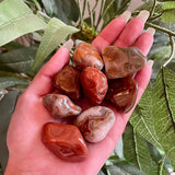 Lake Superior Agate Tumble