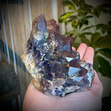 Local Amethyst Cluster - 2025