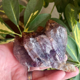 Local Amethyst Cluster - 2025