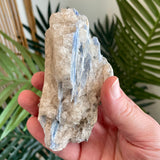 Blue Kyanite Specimen