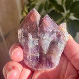 Local Amethyst Cluster - 2025